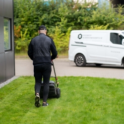 ejendomsservice af udendørs områder