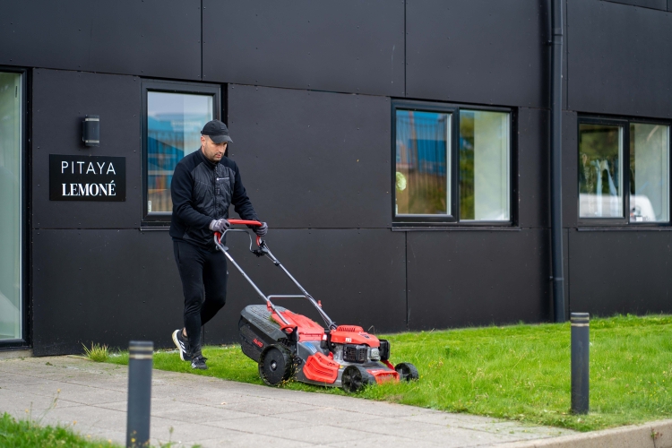 ejendomsservice af plæne